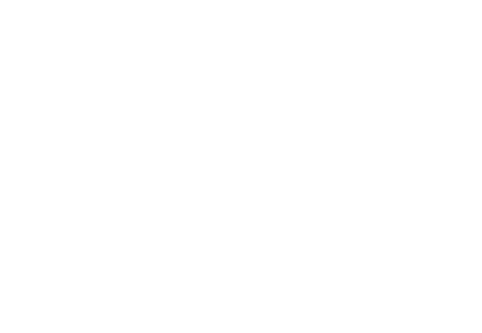 Десятилетие науки и технологий